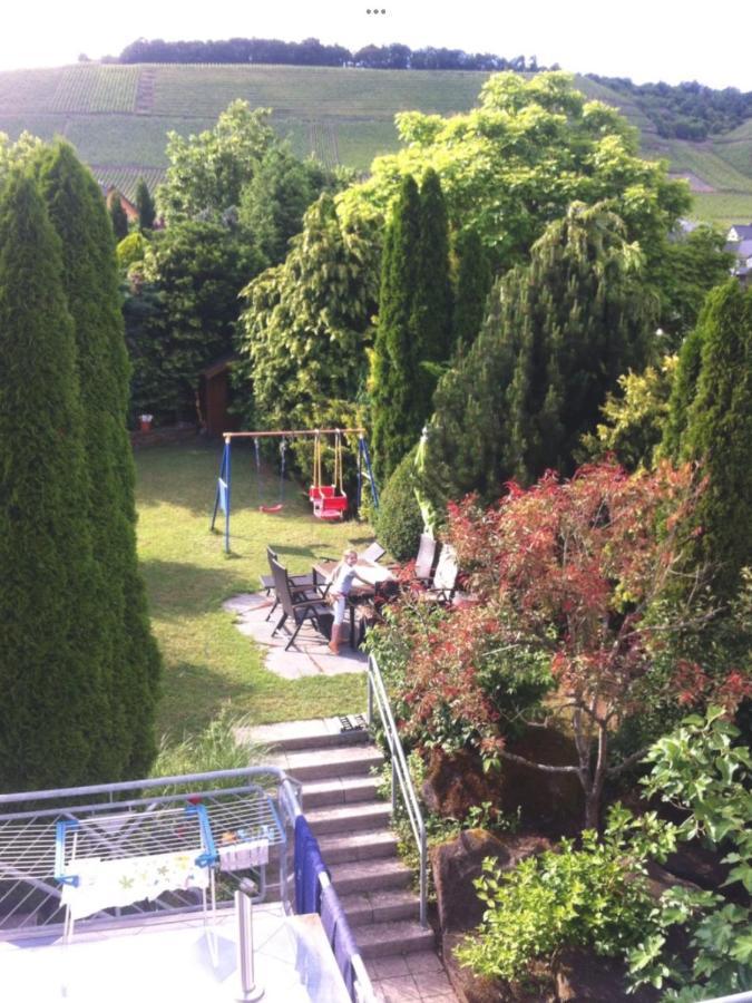 Doppelzimmer Mit Terrasse Zum Garten, Ruhig, Weinbergsblick, Zusaetzliches Kinderzimmer Anbei Moeglich ヴィンニンゲン エクステリア 写真